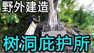 在狼穴中建造秘密庇护所是一种什么样的体验？露营野餐新玩法?