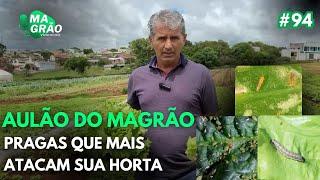 AULÃO DO MAGRÃO  - PRAGAS QUE MAIS ATACAM SUA HORTA - MAGRÃO VÍDEOCAST #94