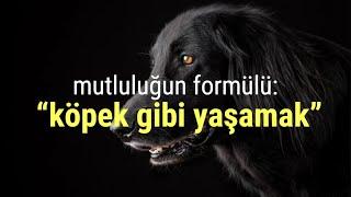 Mutluluğun formülü: "Köpek gibi yaşamak"