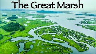 The Great Marsh - Drone Footage in Essex Massachusetts