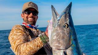 Searching for Massive Wahoo in Texas