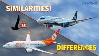 Similarities and Differences between US Airways Flight 1549 & Jeju Air Flight 2216 | Bird Strikes