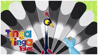 Why Peacock Struts? | Tinga Tinga Tales Official | Full Episode | Kids Cartoons