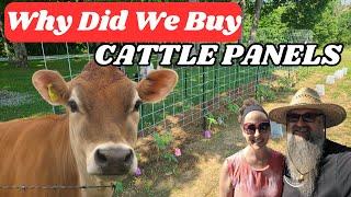 Cattle Panel Tomato Trellis // MISSOURI GARDENING // GROW your OWN FOOD