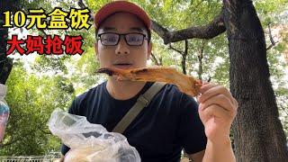 10元盒飯有一点豐盛！大媽搶盒飯就跑被抓住，老闆為啥賣這麼便宜？