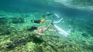 보라카이 호핑투어 프리다이빙 스노클링 스킨다이빙 boracay boracayfreedive boracayfreediving boracaydiving