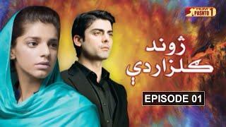 Jwand Gulzar De | Episode 01 | Pashto Drama Serial | HUM Pashto 1