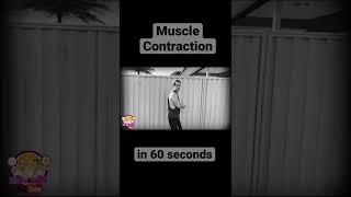 Muscle Contraction in 60 seconds! #shorts