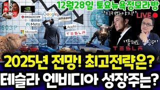 미국주식/2025년 전망! 올해의 관심분야, 최고 전략은? (편집본)/테슬라 엔비디아 구글 애플 아마존 메타 마이크로소프트 팔란티어 아이온큐 브로드컴 LLY $tsla #tesla