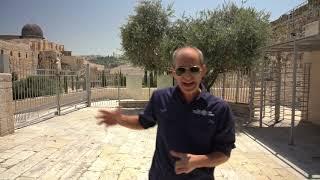 A tour of the Kotel and Davidson Center