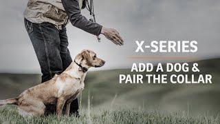 X-Series :: How to Add a Dog and Pair the Collar