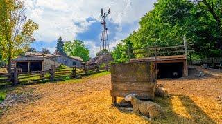 A 3 Acre Working Farm in Toronto's Downtown Neighbourhood | Riverdale Farm