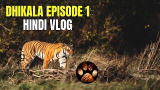 Dhikala Mein Entry aur Dhangari ka Museum | Discover Wild Paws Hindi Jim Corbett Series 4K