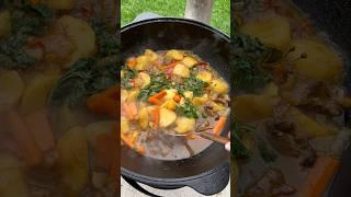 Potato Lamb Stew #stew #lamb #lambstew #dinner #food #shorts #short #reels #shortsvideo