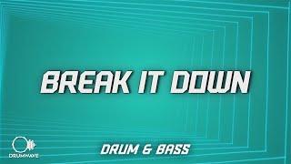 Wilkinson - Break It Down (Lyrics) ft. Emily Makis