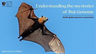 Understanding the Mysteries of Bat Genomes | Bat1K global genome consortium