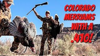 TURKEY HUNTING Colorado MERRIAMS with a .410 | Turkey Tour 2021