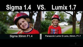  Sigma 30mm F1.4 DC DN Lens vs Lumix 25m 1.7 (Micro 4/3) on Panasonic GH5 - Examples