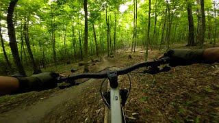 Explore the Thrilling Creeks Black MTB Loop Your Ultimate Mountain Biking Adventure Awaits!