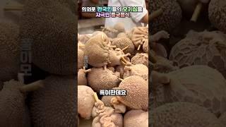 의외로 한국인들의 호기심을 자극한 중국음식