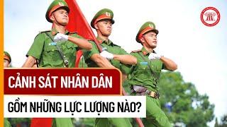 Cảnh Sát Nhân Dân Gồm Những Lực Lượng Nào? | THƯ VIỆN PHÁP LUẬT