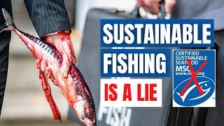 Fishing For The Truth About The Marine Stewardship Council (MSC)