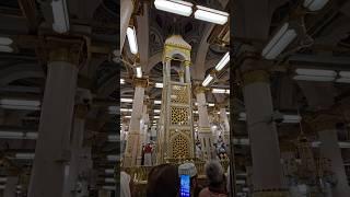 Reyazul  Jannah #madina #makkah #Travel #love #dua #vlog #shorts #yt