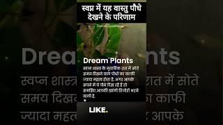 Plants astrology | astro upay | totke | vastu shastra | #shorts