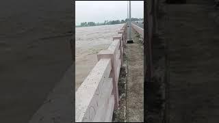 தென்பெண்ணை ஆறா இது | thenpennai river  today | thenpennai river flood