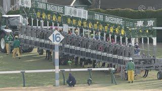 2024 FEBRUARY STAKES (G1) | JRA Official