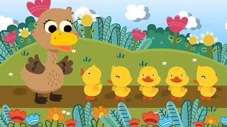 Five Little Ducks เพลงเป็ด 5 ตัว | nursury rhyme เพลงเด็กภาษาอังกฤษ