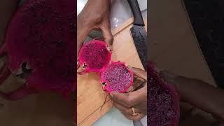 Fresh Dragon Fruit #shorts#ytshort #aapkatechnicalgardener:
