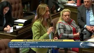 Rep. Stephanie Barnard speaks against bill that restricts constitutionally protected gun rights