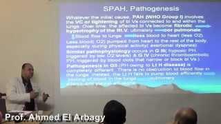 ESNT-CNE May 2014  Hemodialysis Related Pulmonary Hypertension  Prof  Ahmed Rabie EL  Arbagy