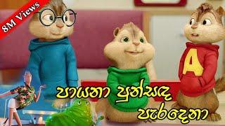 පායනා පුන්සඳ පැරදෙනා - payana punsada paradena remix | Chipmunks version song | Himabole Studio