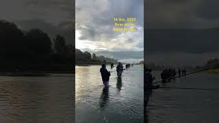 Vedder river salmon fishing#chilliwack#Vancouver#Canada fishing#king salmon#coho#Vancouver fishing