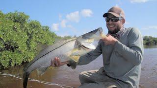 Lagoon of Destruction - GEOFISH: Mexico - MOTIV FISHING