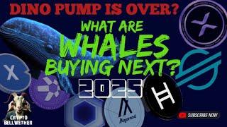 WHALE MONEY FLOW IS SHIFTING -The Dino Coin PUMP is over?  - XRP, XLM, HBAR, LINK etc. What's next?