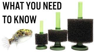 Pros & Cons of Sponge Filters - Do You Really Need One for Your Aquarium?