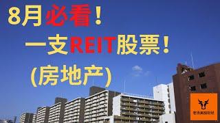 8月必看的一支REIT股票 (房地产)! 如何估值REITs?【美股分析】(字幕请点CC)