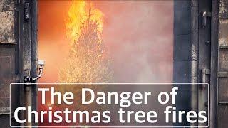 Video: The Danger of Christmas tree fires