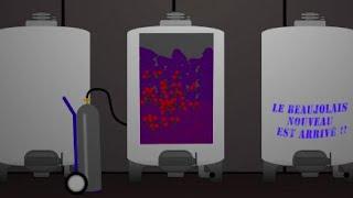 Carbonic Maceration: A Brief Overview