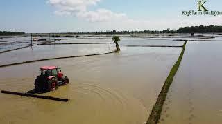 ÇELTİK (PİRİNÇ) TARLASI DÜZLEME - RICE FIELD