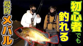 初心者の為の簡単メバル釣り講座！！【夜の堤防】