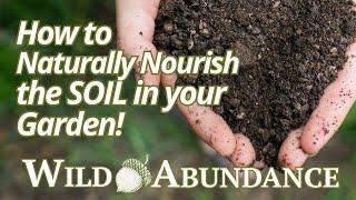 Soils 101: Naturally Nourishing the Soil / excerpt from Wild Abundance Online Gardening School