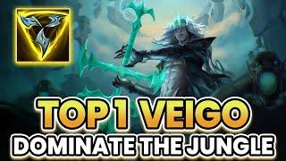 WILD RIFT VEIGO JUNGLE GAMEPLAY IN SEASON 15 (Build & Runes)