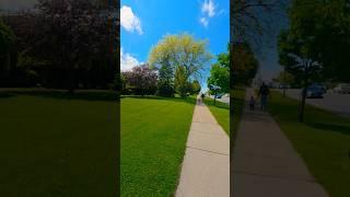 A walk through the spring 🪻