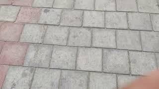 Bricks Type Road in Metro City Apartment
