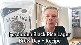 Forbidden Black Rice Lager - Brew Day + Recipe