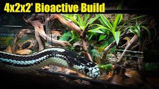 How to Build a Bioactive California Kingsnake Enclosure (120 Gallons)